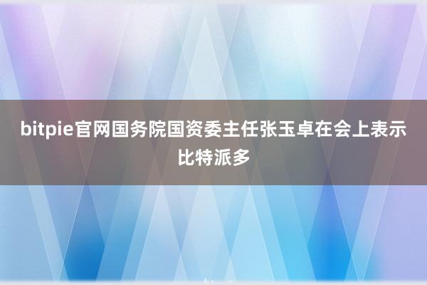 bitpie官网国务院国资委主任张玉卓在会上表示比特派多