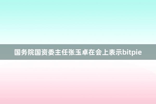 国务院国资委主任张玉卓在会上表示bitpie