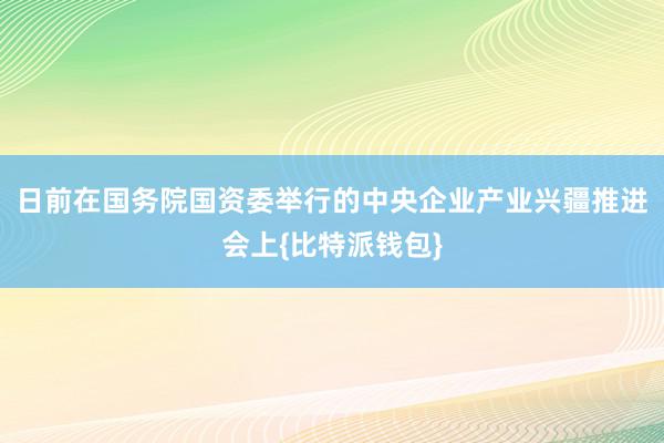 日前在国务院国资委举行的中央企业产业兴疆推进会上{比特派钱包}