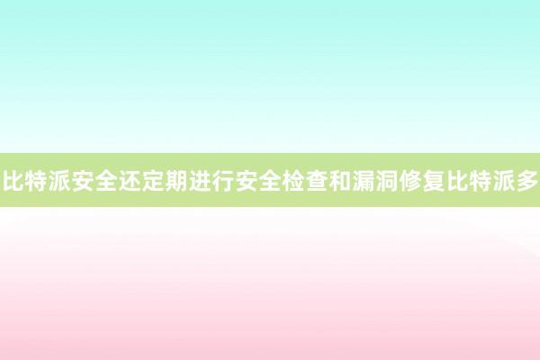 比特派安全还定期进行安全检查和漏洞修复比特派多