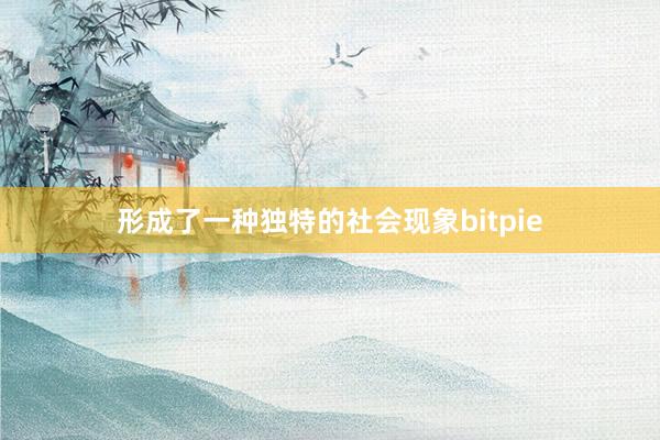 形成了一种独特的社会现象bitpie