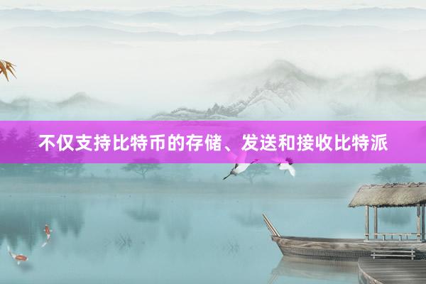 不仅支持比特币的存储、发送和接收比特派