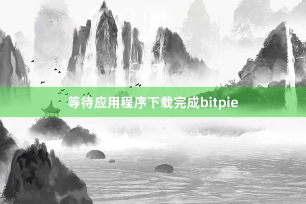 等待应用程序下载完成bitpie