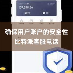 确保用户账户的安全性比特派客服电话