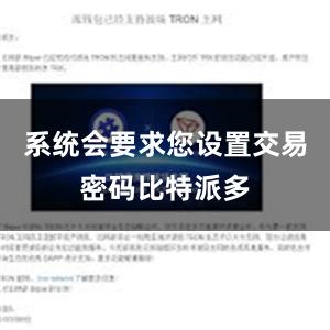 系统会要求您设置交易密码比特派多