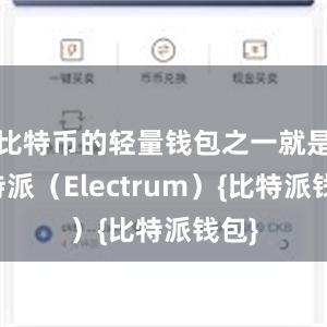 比特币的轻量钱包之一就是比特派（Electrum）{比特派钱包}