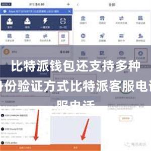 比特派钱包还支持多种身份验证方式比特派客服电话