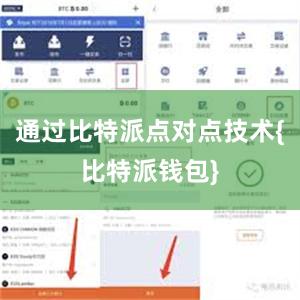 通过比特派点对点技术{比特派钱包}