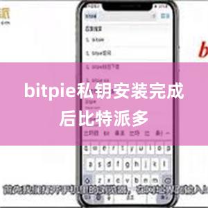 bitpie私钥安装完成后比特派多